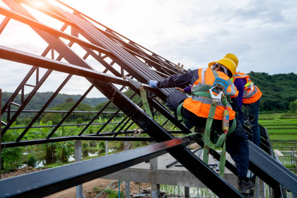 Best Metal Roofing Contractor  in Lake City, MN