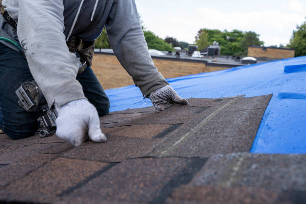 Roof Repair Estimates in Lake City, MN