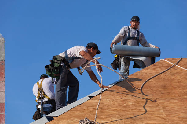 Best New Roof Installation  in Lake City, MN
