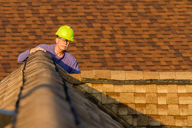 Best Roof Replacement Cost  in Lake City, MN