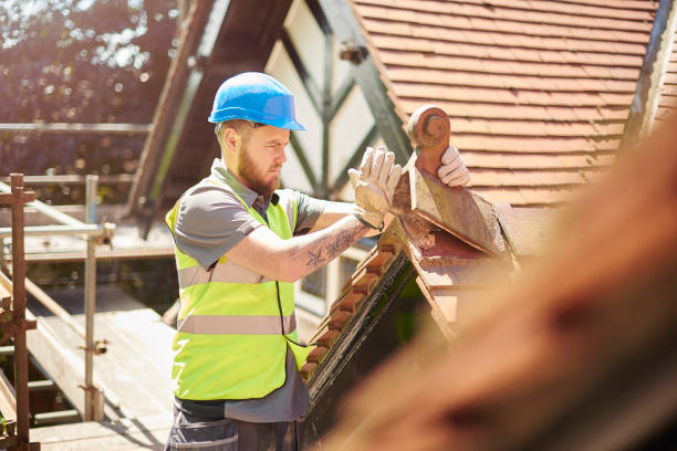 Best Storm Damage Roof Repair  in Lake City, MN